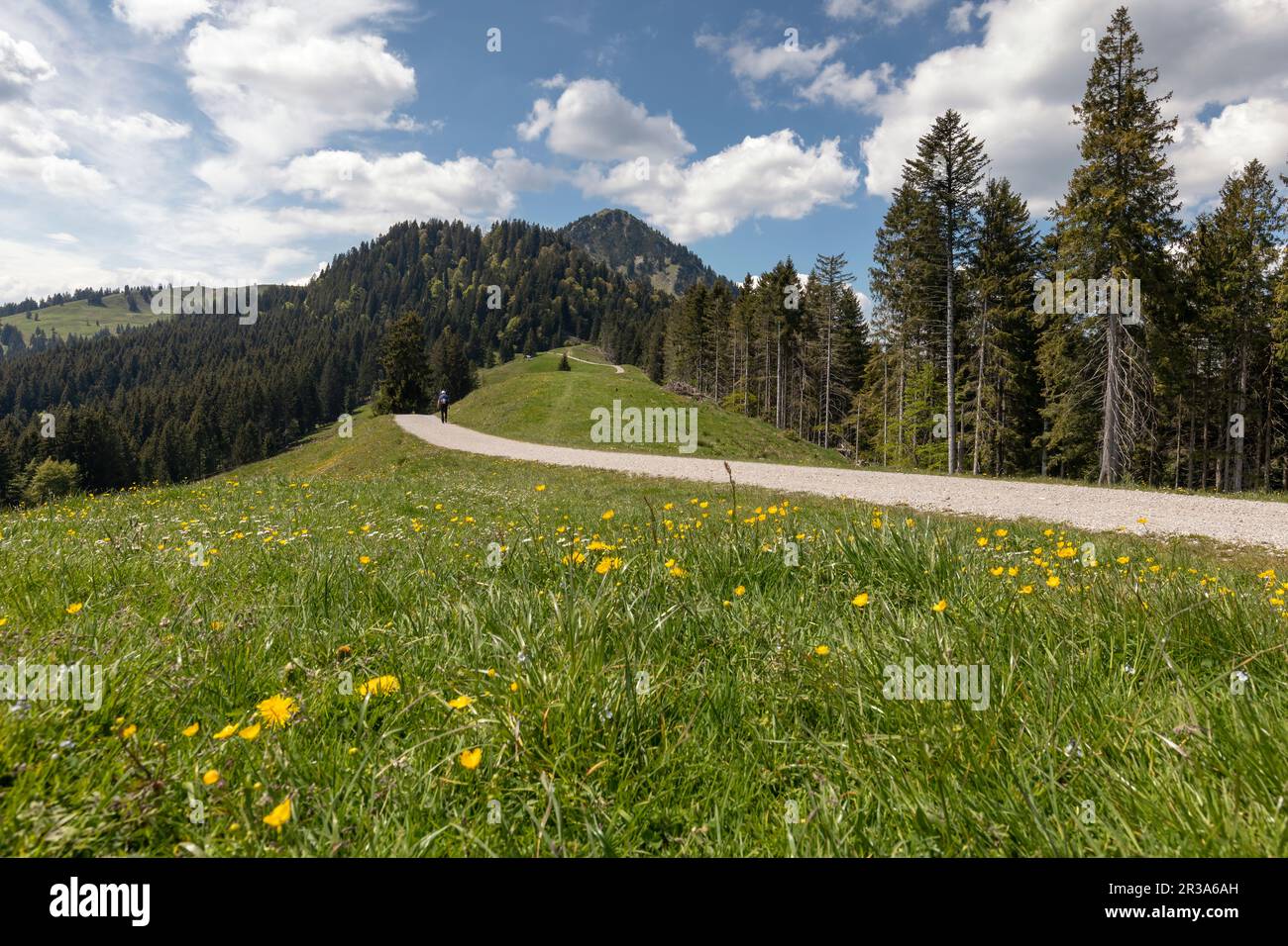 Ruta de senderismo al pico Fockenstein en los alpes bávaro, Alemania Foto de stock