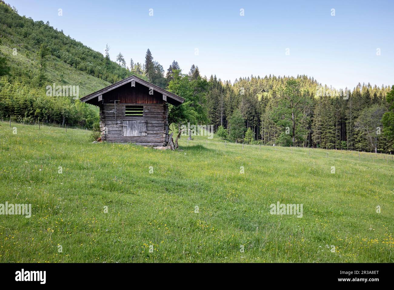 Cobertizo de madera agrícola en prado de primavera en las estribaciones de los Alpes, Baviera Foto de stock