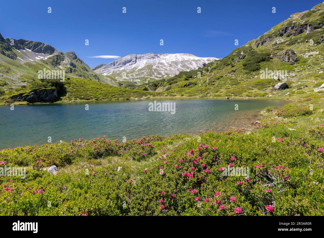 Uno de los lagos Giglach en Estiria, Austria, en verano Foto de stock