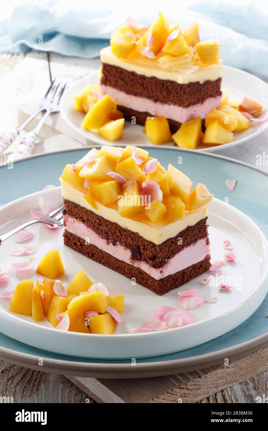 Pastel de chocolate con mango y crema de cereza Fotografía de stock - Alamy