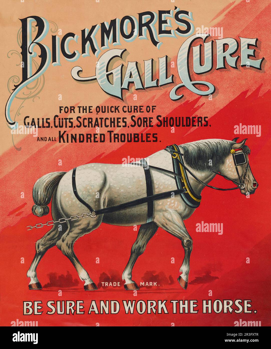 Anuncio vintage para la cura de agallas de Bickmore para caballos. Foto de stock