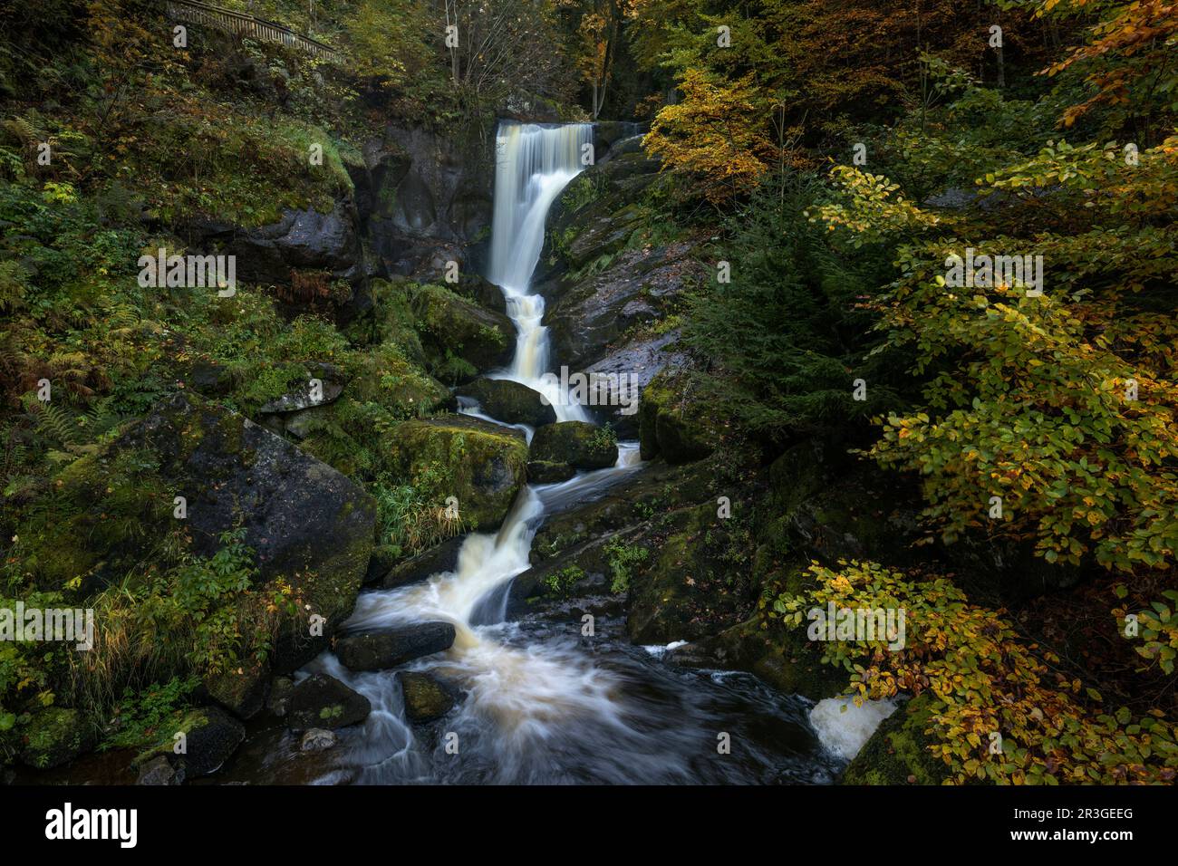 Cascadas de Triberg en la Selva Negra en Alemania en otoño Foto de stock