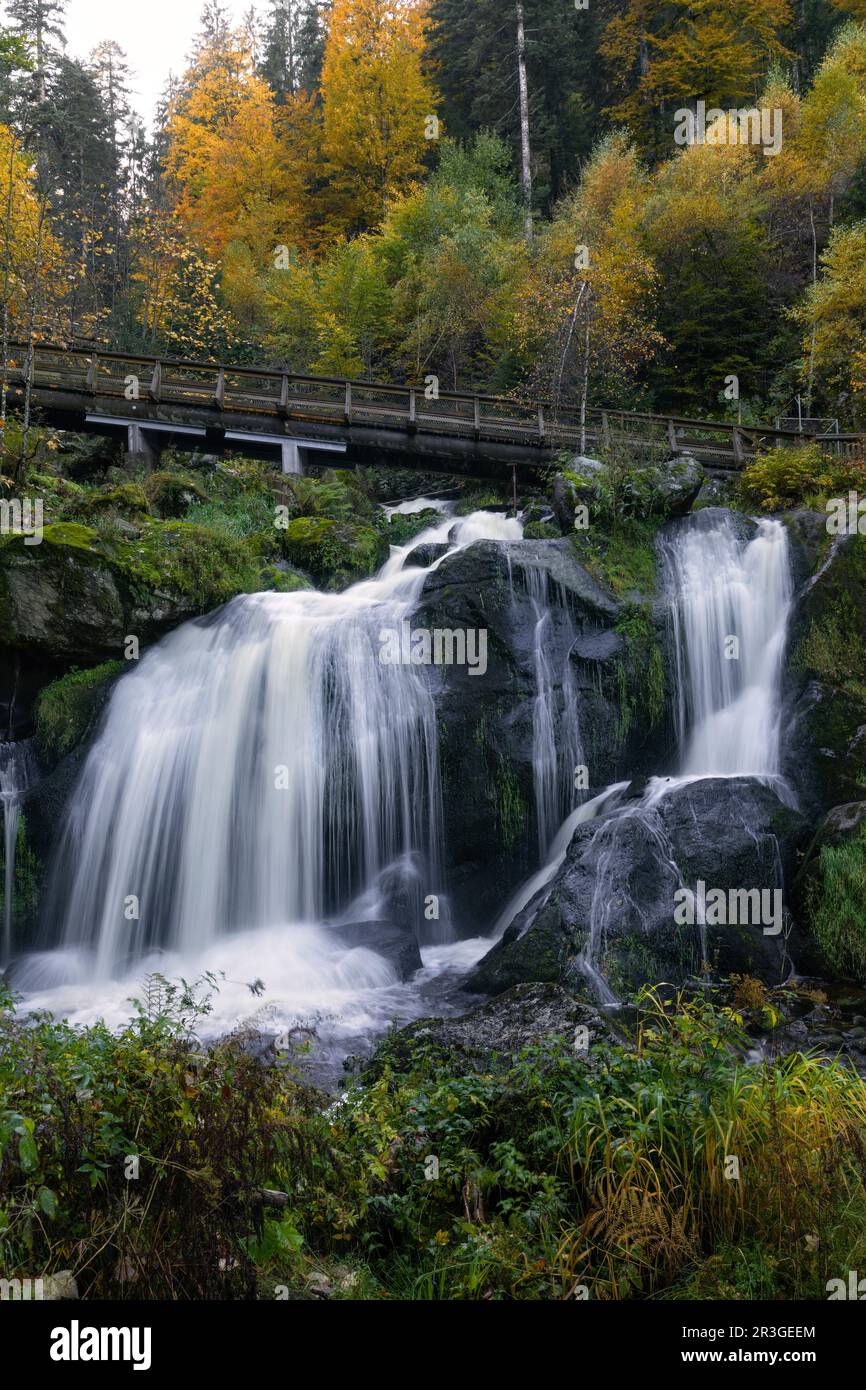 Cascadas de Triberg en la Selva Negra en Alemania en otoño Foto de stock