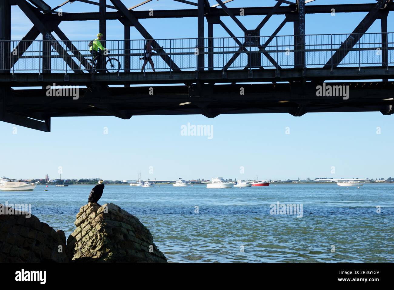 tauranga Nueva Zelanda - 24 2023 de mayo; personas que cruzan en la pasarela peatonal del puente de ferrocarril desde el frente marítimo con cormorán en los residuos de construcción abajo Foto de stock