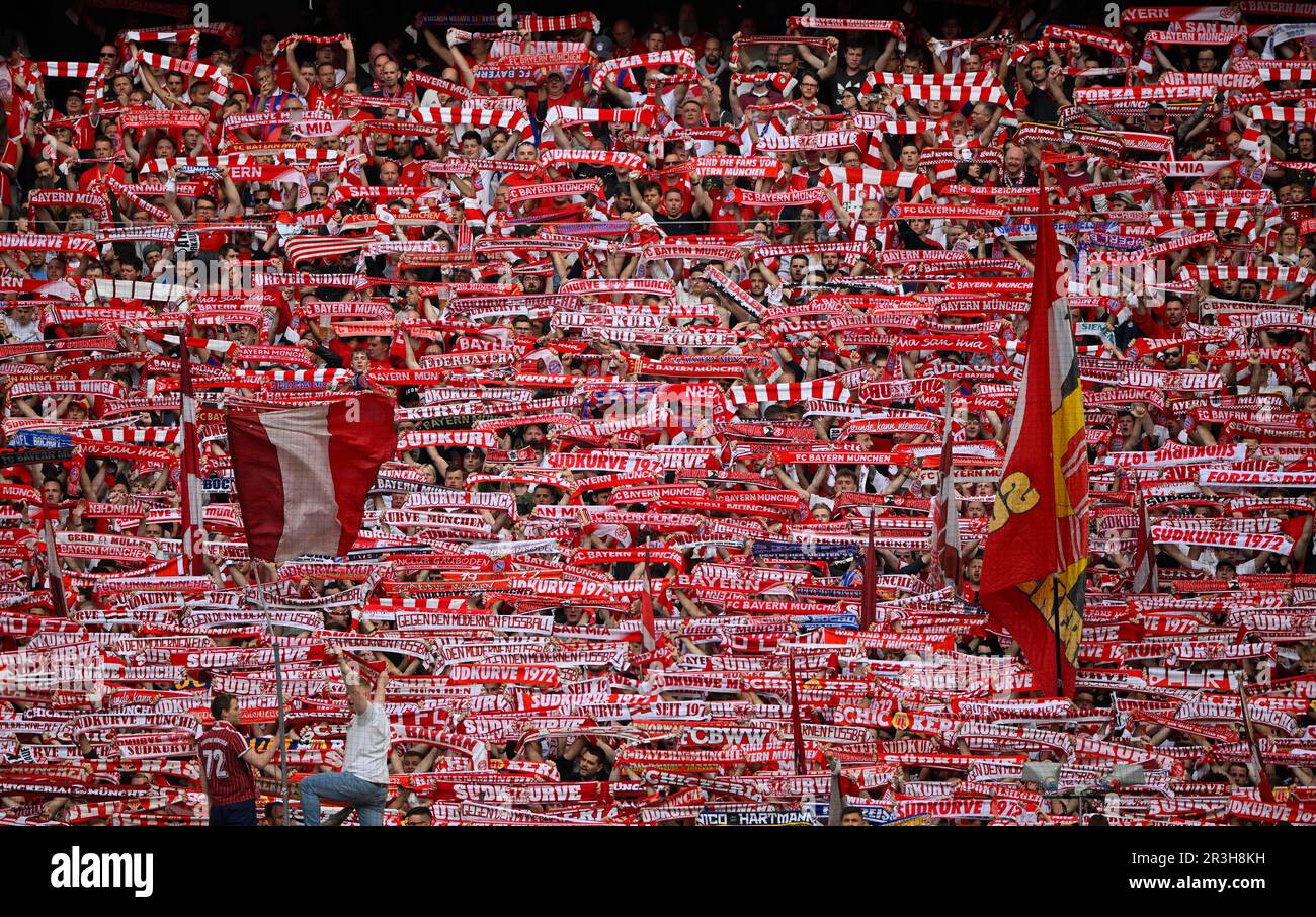 Los fans sostienen bufandas, bloque de fans, atmosférico, curva sur, Allianz Arena, Múnich, Bayern, Alemania Foto de stock