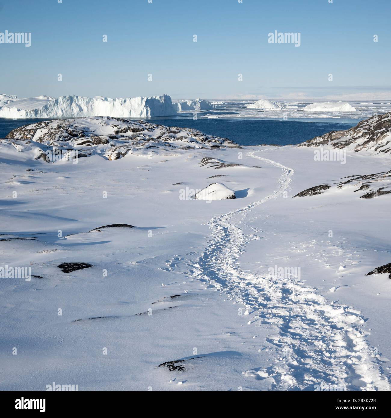 Pistas en la nieve sobre el glaciar Kangia en Ilulissat, al oeste de Groenlandia. Foto de stock