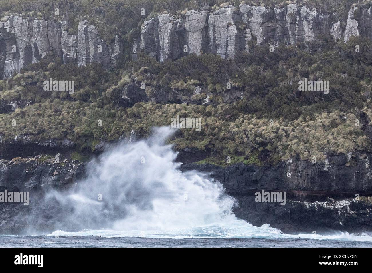 Rompiendo olas, South Point, Campbell Island, Nueva Zelanda Foto de stock