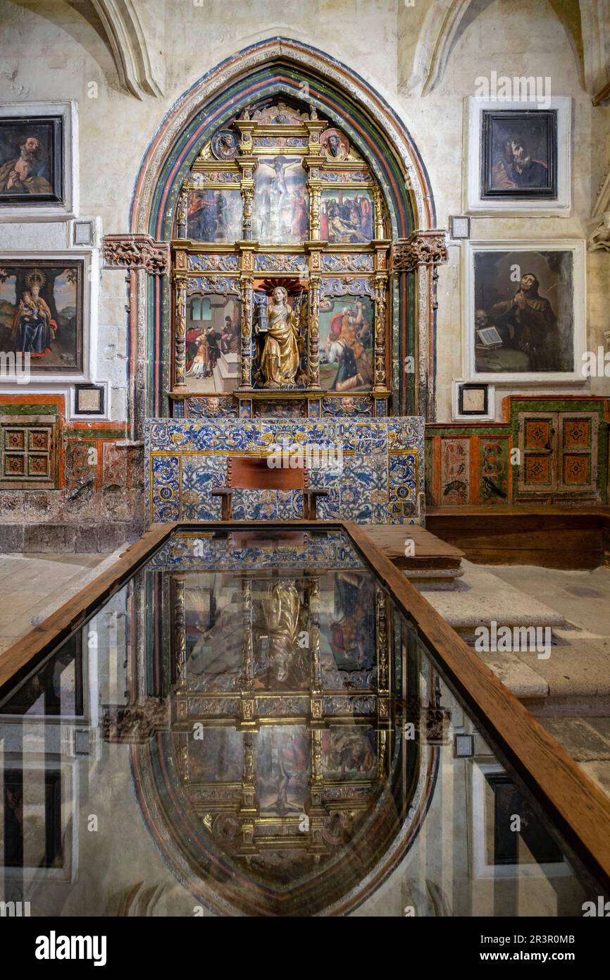 Capilla de Santa Bárbara, la Catedral de la Asunción de la Virgen, Salamanca, comunidad autónoma de Castilla y León, España. Foto de stock