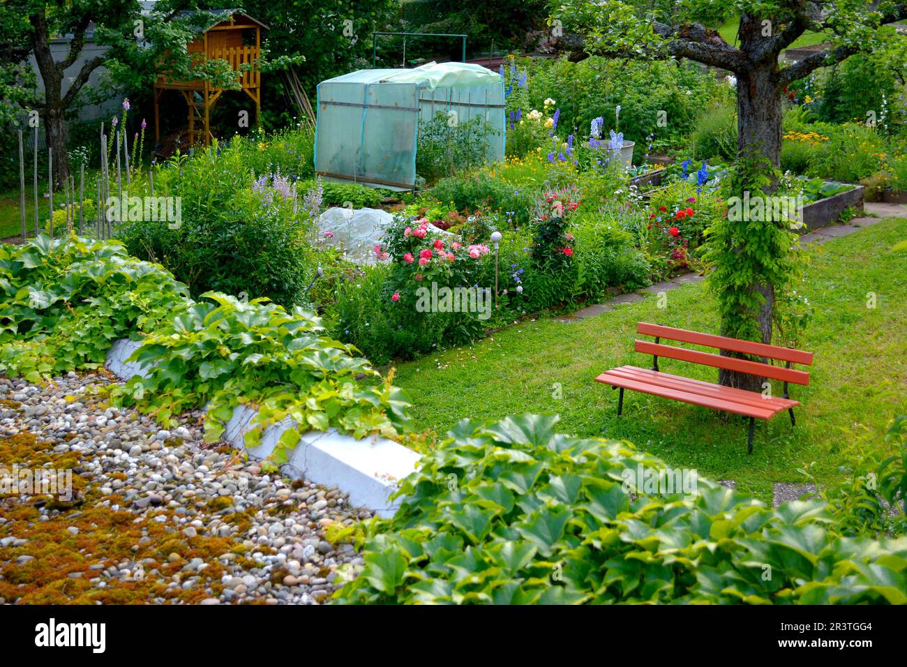 Jardín rural con banco de jardín Foto de stock