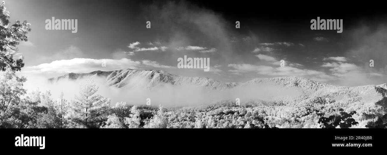 Niebla se levanta de un valle en las Montañas Humeantes cerca de Townsend, TN a principios de mayo de 2023. Filmado en blanco y negro infrarrojo. Escena dramática Foto de stock