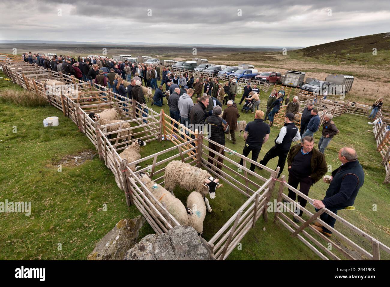 El evento anual Tan Hill Open Swaledale Sheep Show, celebrado en el páramo en el pub más alto de Gran Bretaña (1.732ft), el Tan Hill Inn, North Yorkshire, Reino Unido Foto de stock
