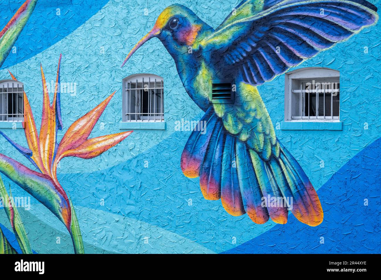Mural colibrí fotografías e imágenes de alta resolución - Alamy
