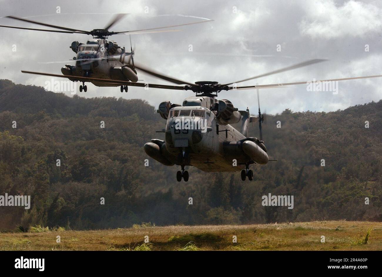 Helicópteros CH-53D Sea Stallion de la Marina de LOS EE.UU. Asignados al Escuadrón de Helicópteros Pesados Tres Seis Tres (HMH-363) Foto de stock