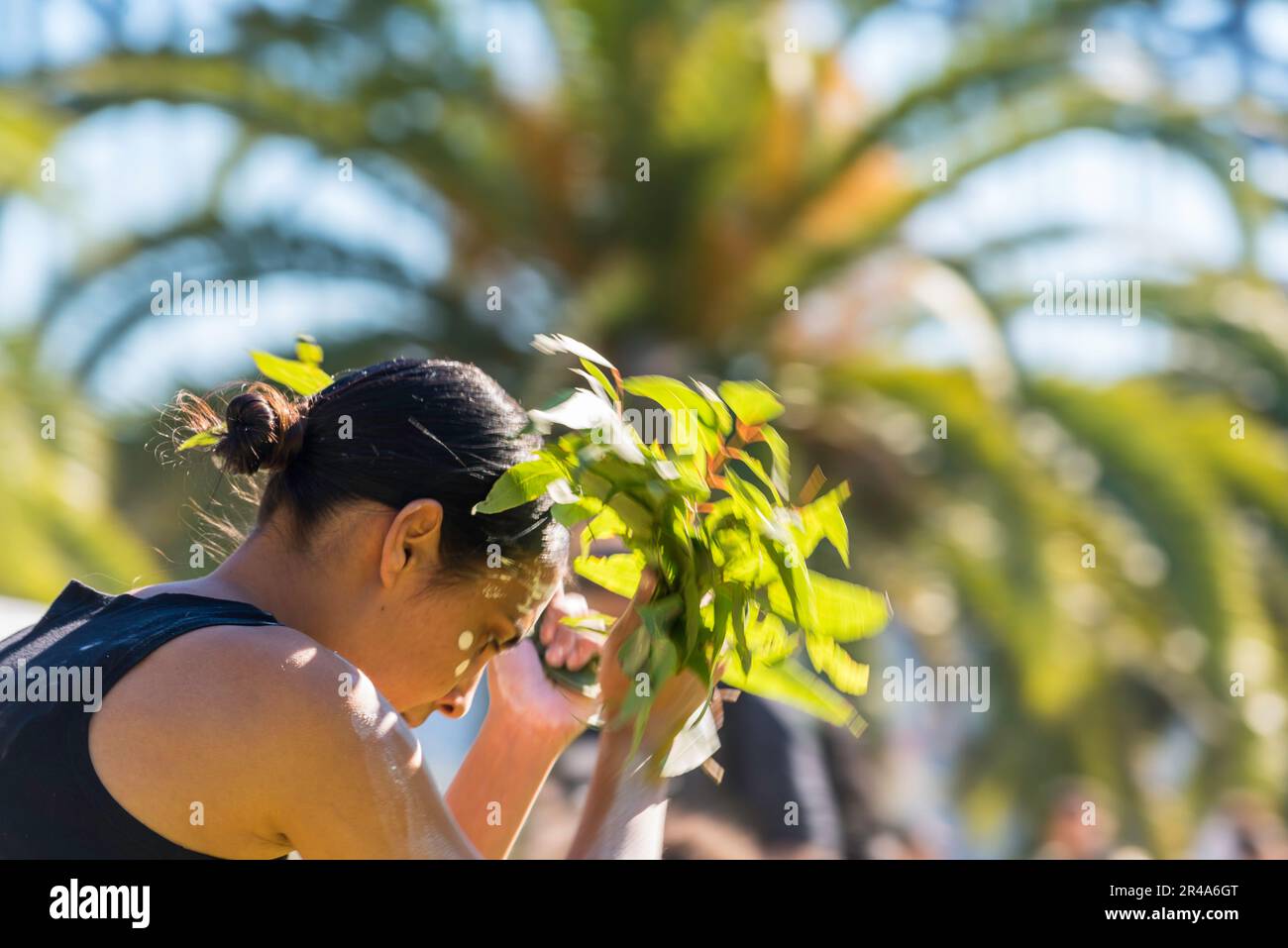 Sydney Australia 27 de mayo de 2023: Como parte de la Semana Nacional de la Reconciliación, se celebró hoy una reunión del Día de lo Sorry Day en el Recinto Tarpeiano en los Jardines Botánicos cerca de la Ópera de Sídney. La gente se reunió para recordar a las generaciones robadas (de los pueblos aborígenes) y crear sanación para los sobrevivientes. Patrocinado por la Corporación Aborígenes Coota Girls, el evento incluyó artesanías musicales y alimentos de arbustos. El Grupo de Baile de Mariposas Buuja Buuja actuó en la inauguración de la reunión. Crédito: Stephen Dwyer / Alamy Live News Foto de stock