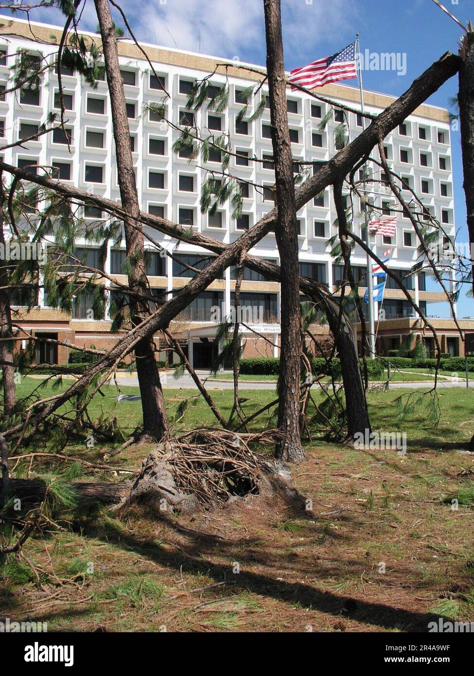 Los árboles de la Marina de LOS ESTADOS UNIDOS rotos por el huracán Iván yacían frente al Hospital Naval Pensacola, FLA Foto de stock
