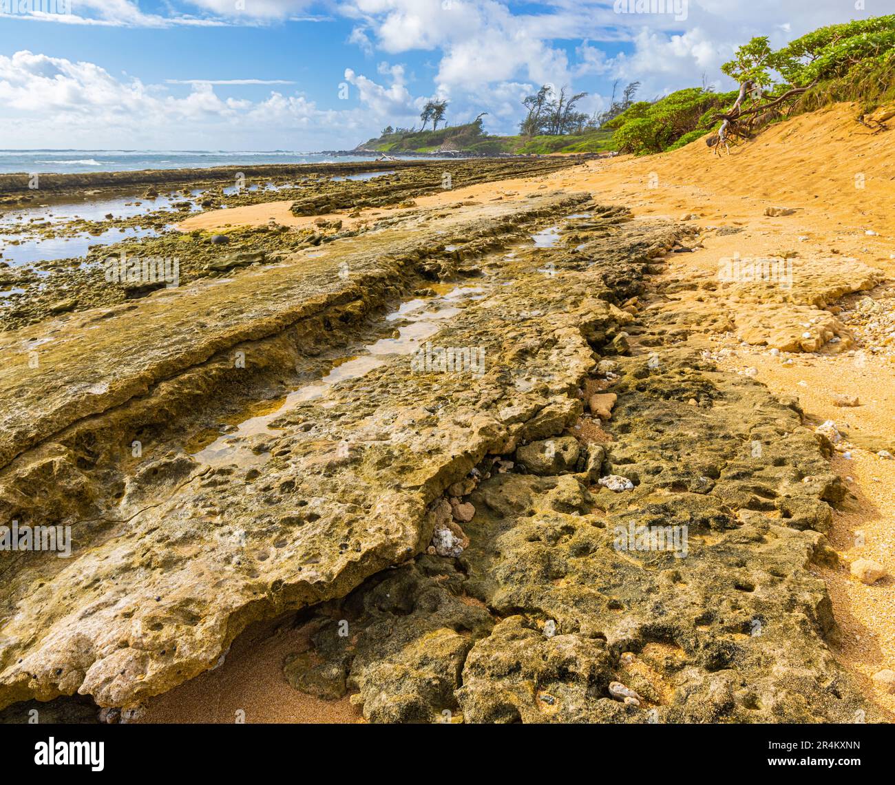 Arrecifes de coral expuestos y piscinas de marea en Nukolii Beach, Kauai, Hawai, Estados Unidos Foto de stock