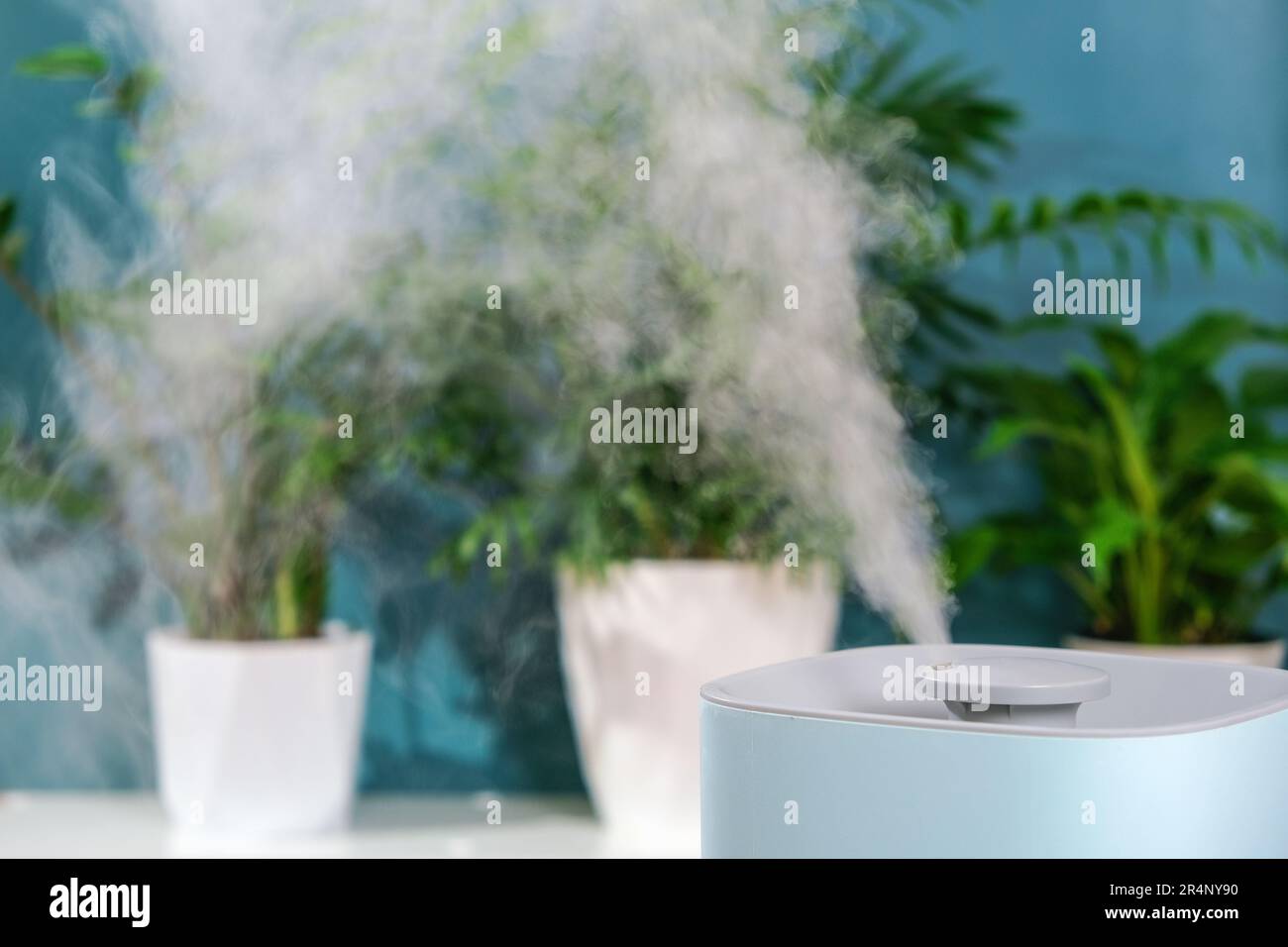 El humidificador ultrasónico libera vapor frío. Cuidado e hidratación de  las plantas al aire seco. Humidificador en el dormitorio para la tos y la  sequedad Fotografía de stock - Alamy