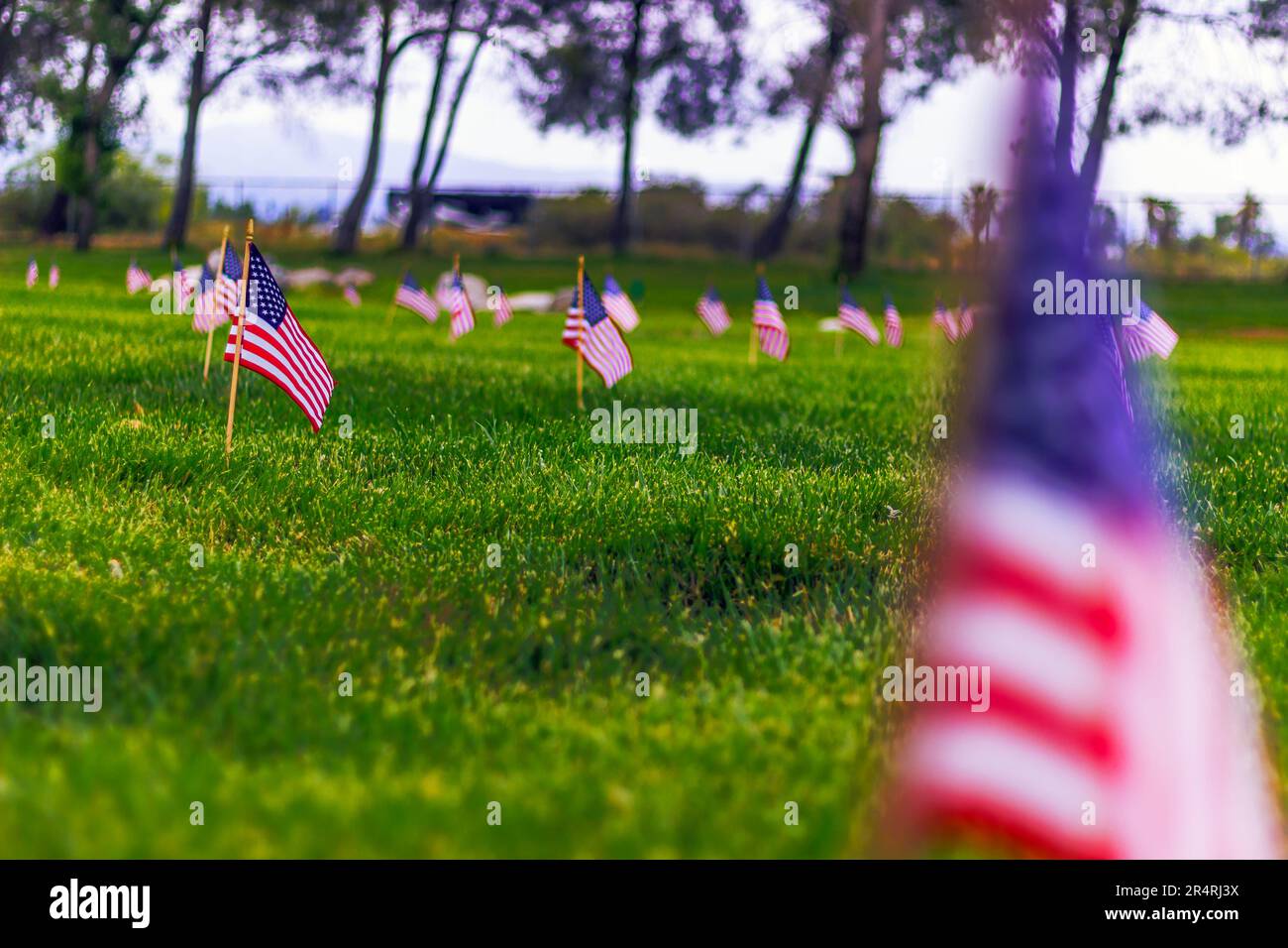 Captura de la conmovedora escena de banderas estadounidenses marcando tumbas de veteranos en el Cementerio Nacional Riverside el Día de los Caídos de 2023, Foto de stock