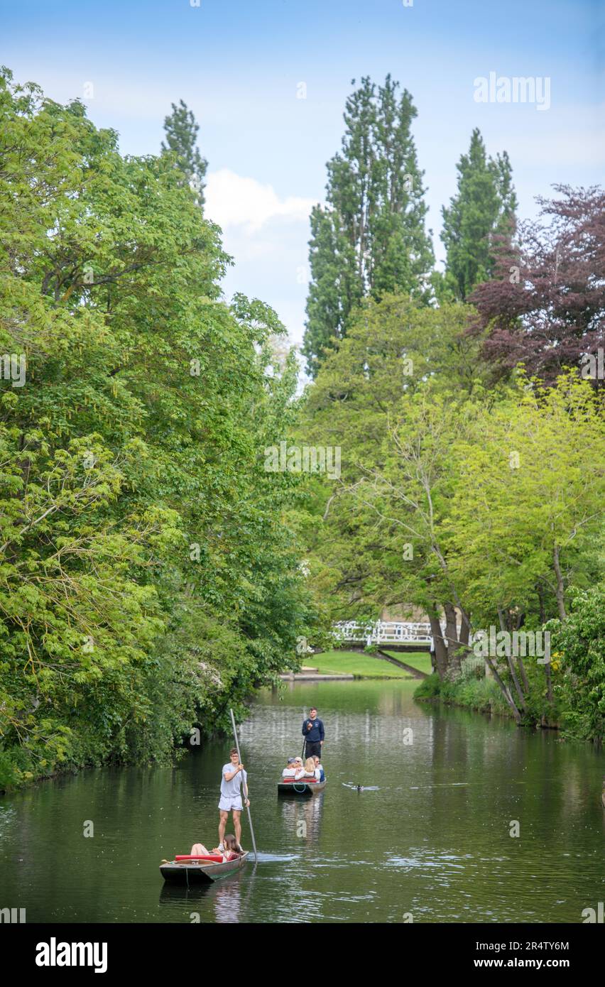Un punt en el río Cherwell en St Hilda's College, Universidad de Oxford, Reino Unido. Foto de stock