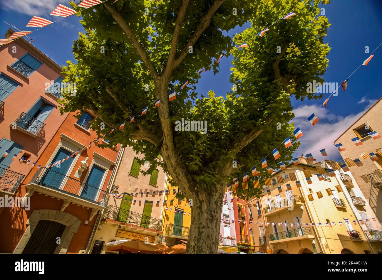 Una escena callejera en Collioure. Foto de stock
