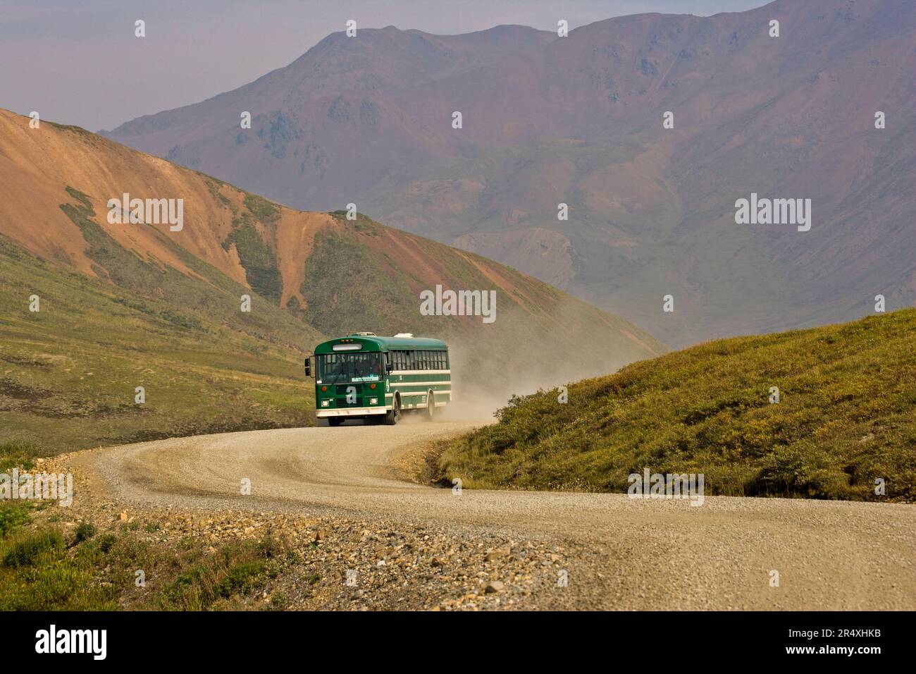 Un autobús turístico despierta el polvo mientras serpentea por el Parque Nacional Denali. Foto de stock