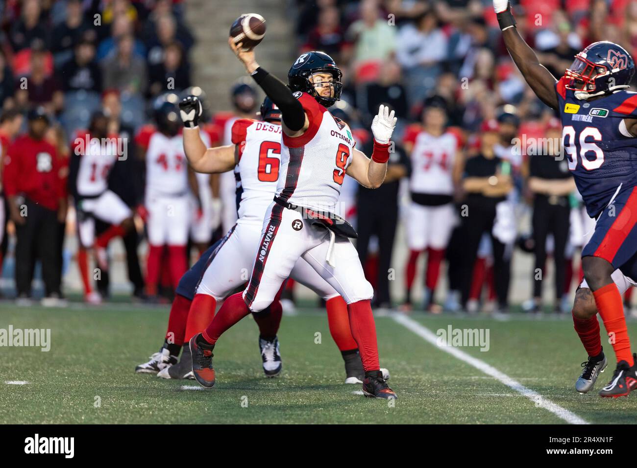 OTTAWA, ON - SEPTEMBER 10: Ottawa Redblacks quarterback Nick Arbuckle (19)  prepares to throw a pass during Canadian Football League action between the  Toronto Argonauts and Ottawa Redblacks on September 10, 2022