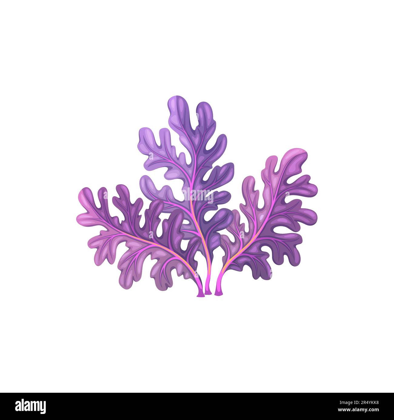 Planta de alga marina de musgo carrageenan submarina de dibujos