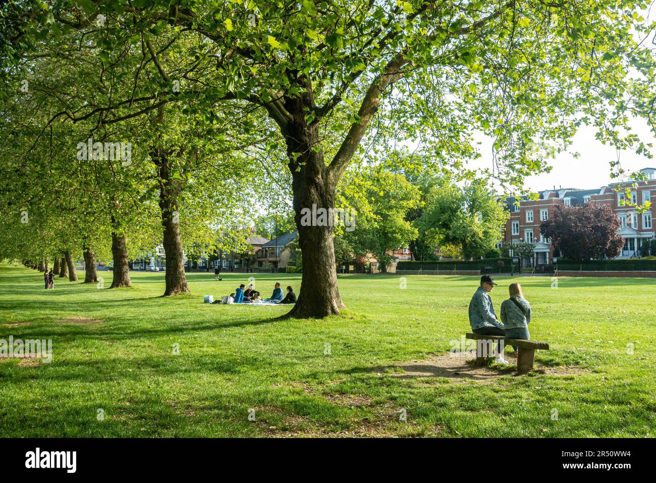 La gente se sentó debajo de los árboles junto al LongWalk en Windsor en Berkshire, Reino Unido. Foto de stock