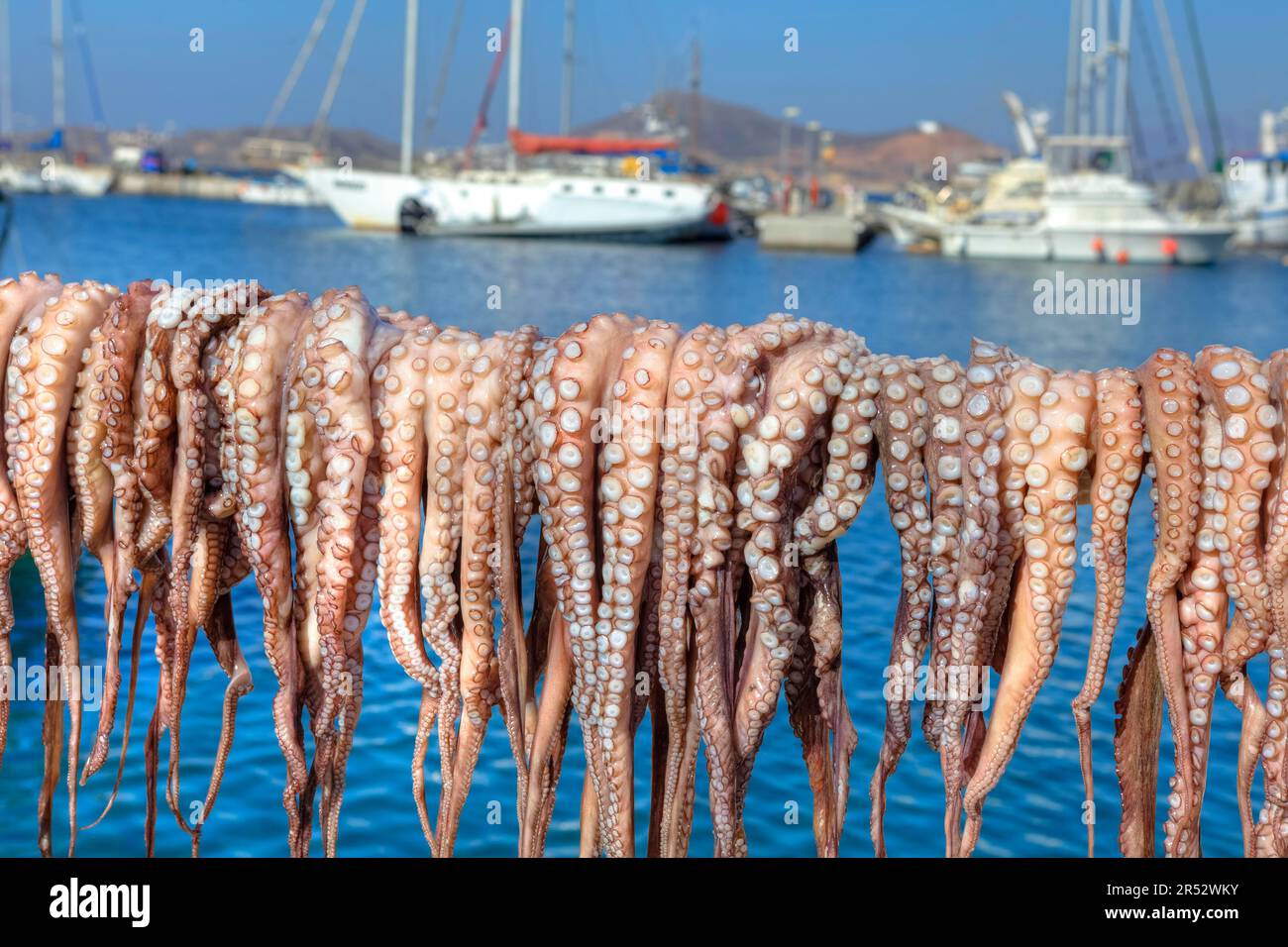 Pulpos, colgado a seco, puerto, Naxos, Cícladas, Grecia Foto de stock