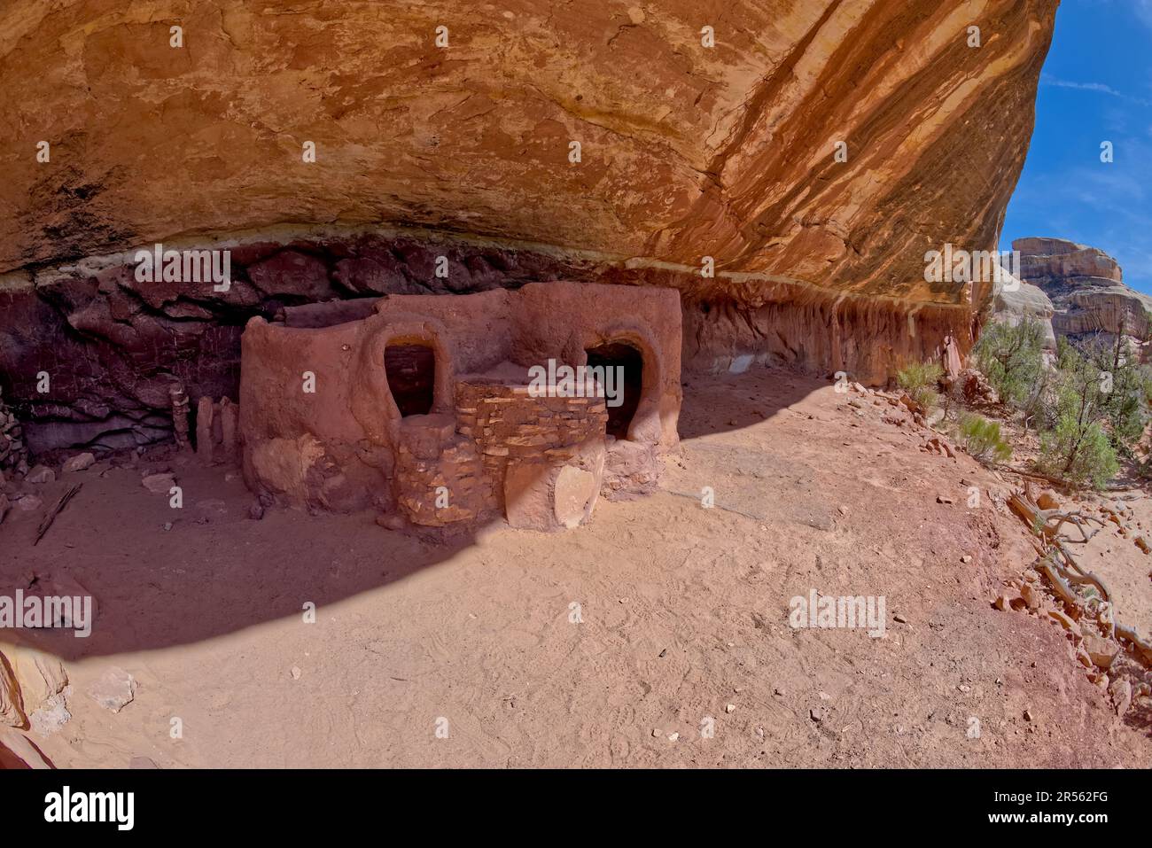 Ruinas de Cuello de Caballo, Monumento Nacional de Puentes Naturales, Condado de San Juan, Utah, EE.UU Foto de stock