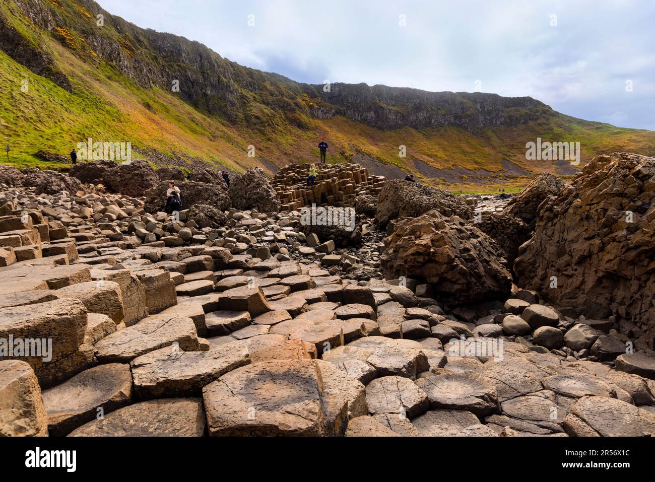 La Calzada del Gigante, Bushmills, Condado de Antrim, Irlanda del Norte, un famoso Patrimonio de la Humanidad de la UNESCO. Foto de stock