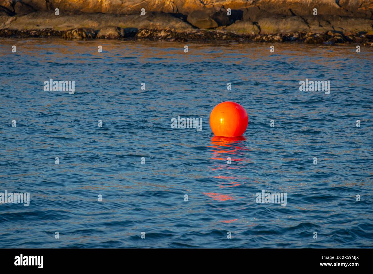 bouy rojo flotando en el mar en la luz del atardecer Foto de stock
