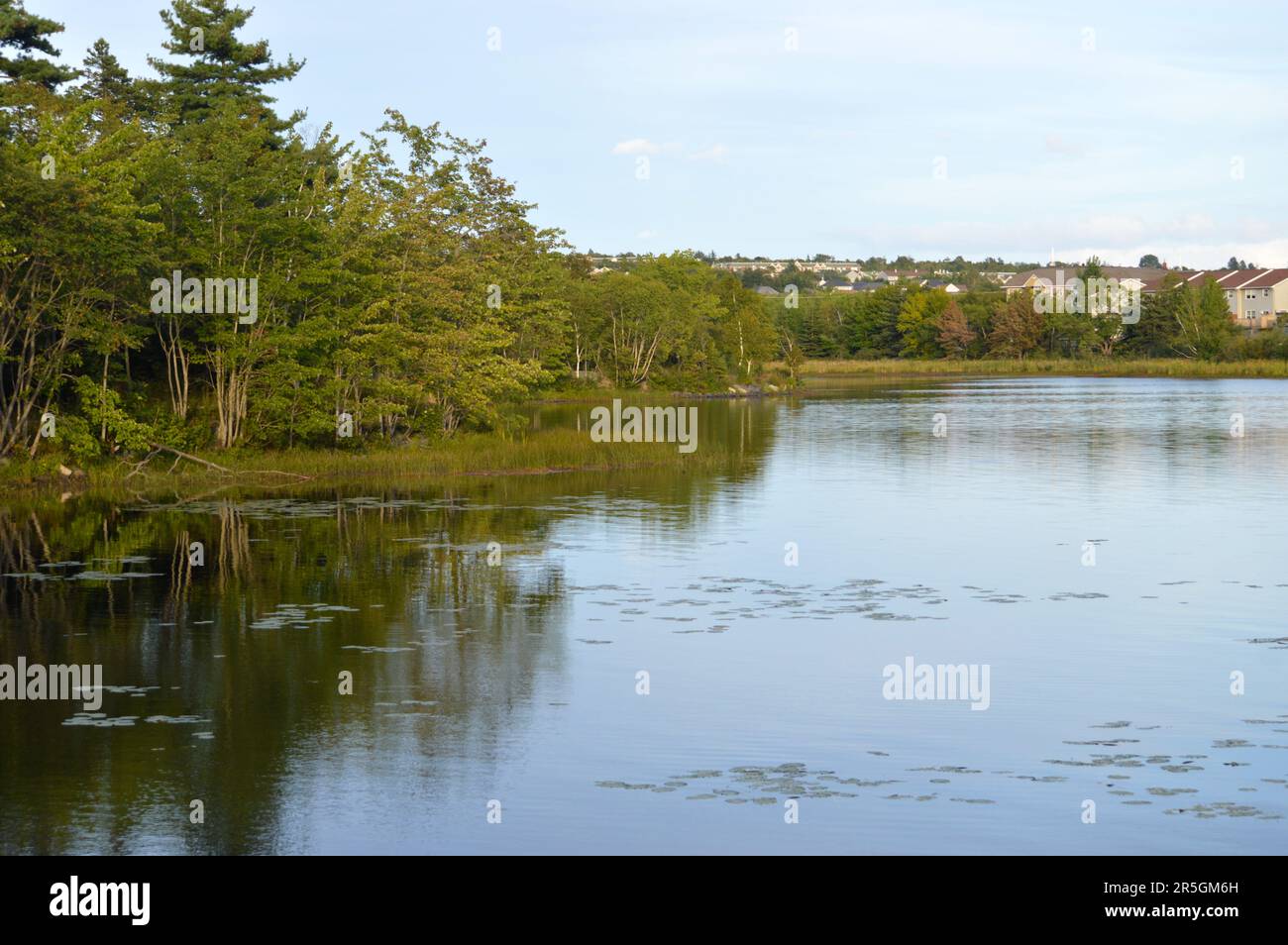 Russell Lake en Dartmouth, Nueva Escocia, visto desde Portland Lakes Greenway Foto de stock