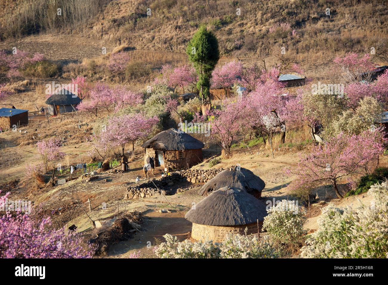 Village, Highway A1, Butha-Buthe District, Lesotho Foto de stock