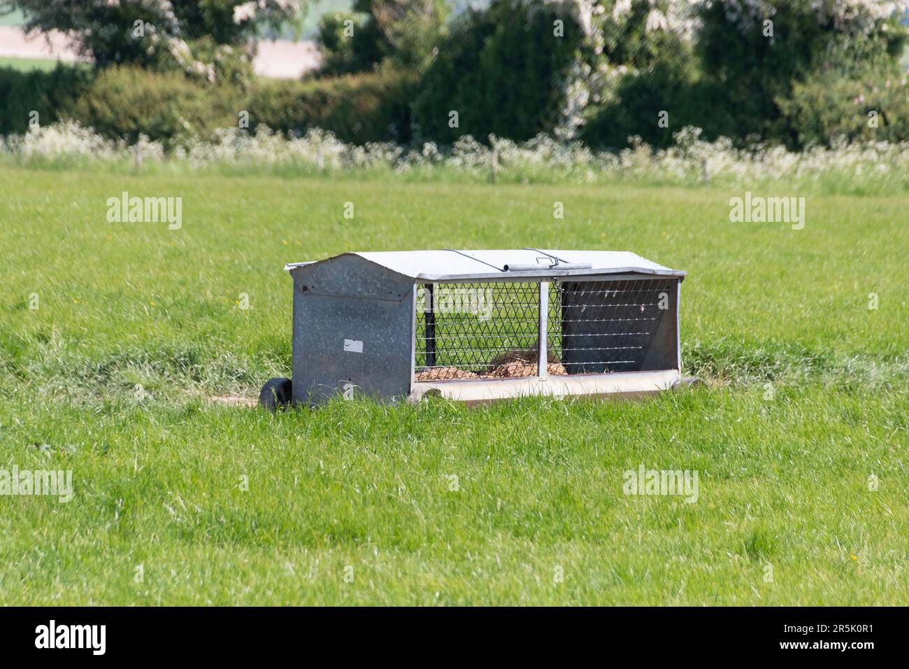 Un primer plano de un troff de alimentación para las ovejas en un campo abierto Foto de stock