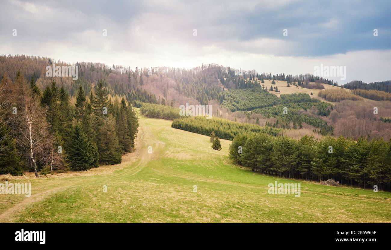 Vista panorámica del paisaje de las montañas Pienin, Polonia. Foto de stock