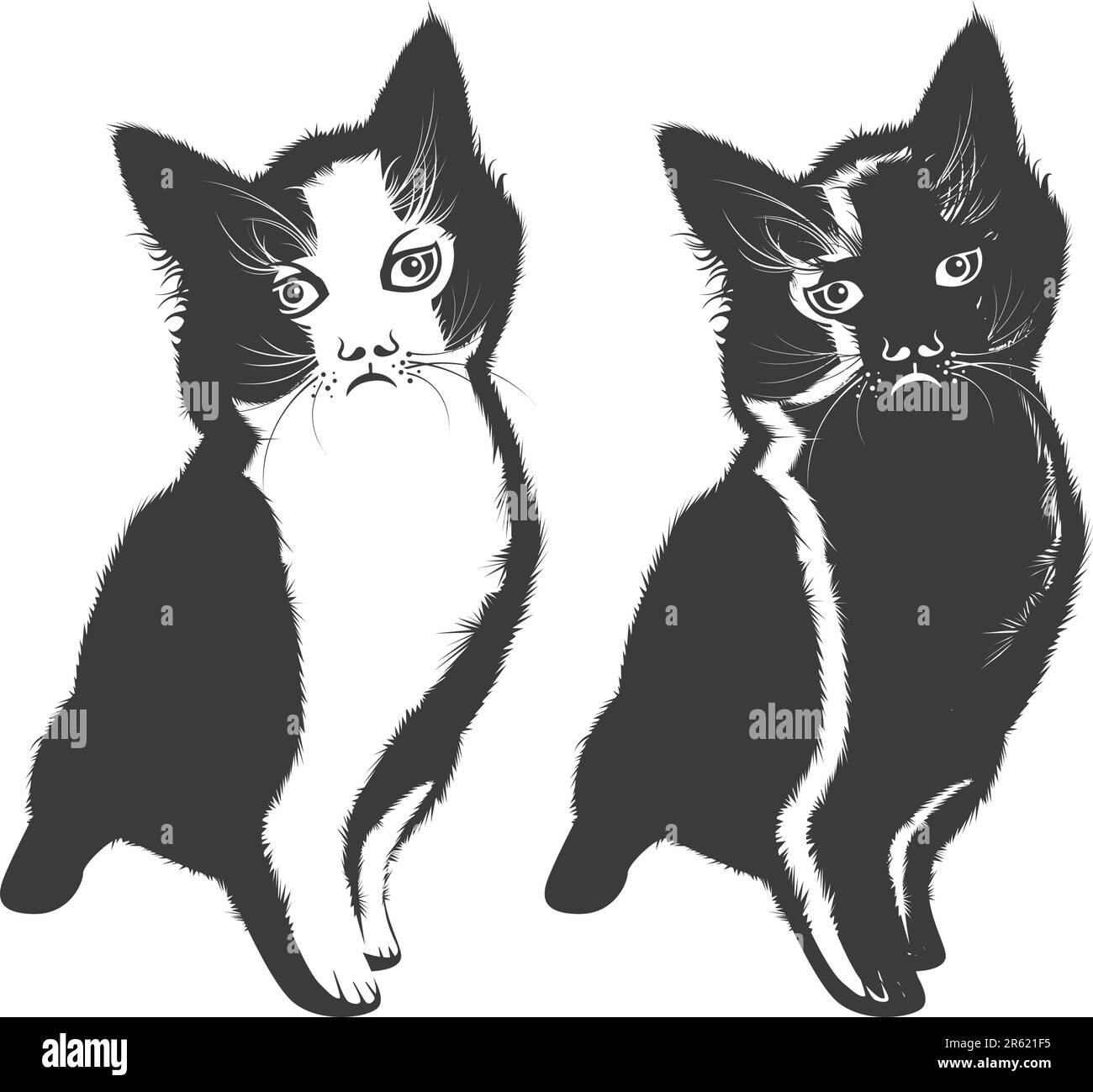 Diseño de patrón de gato detallado en negro y whtie. Ilustración del Vector