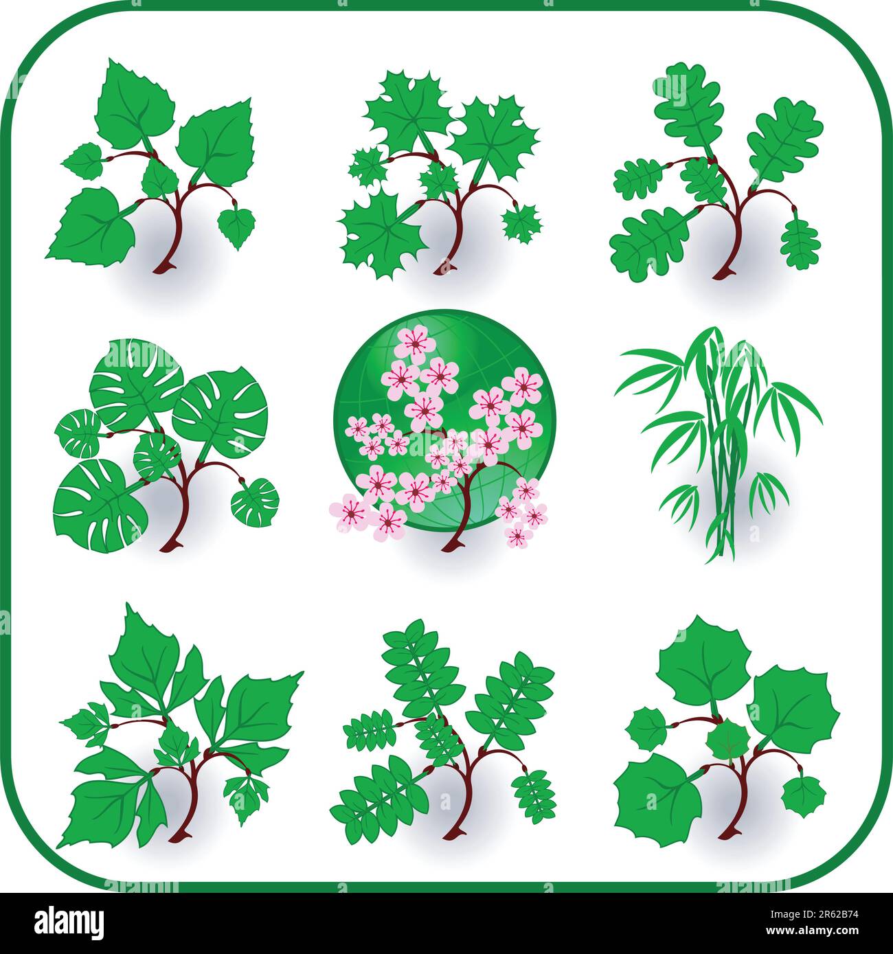 Vector - Plantas verdes, hojas, árboles icono conjunto de símbolos. Ilustración del Vector