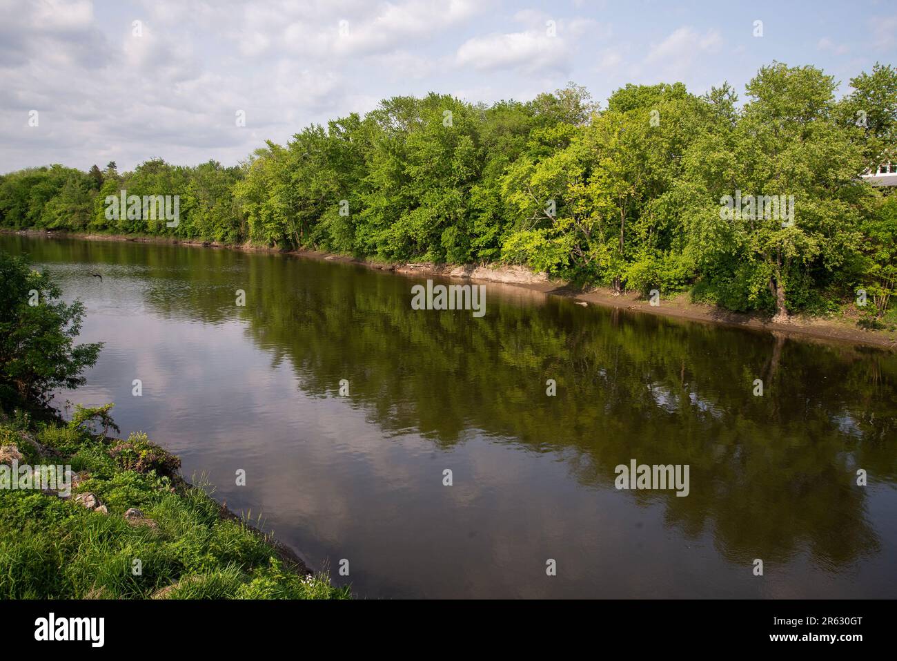 Un río en el bosque Foto de stock