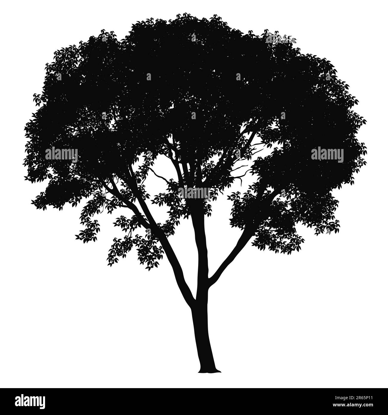 Silueta de árbol sobre fondo blanco. Ilustración vectorial. Ilustración del Vector