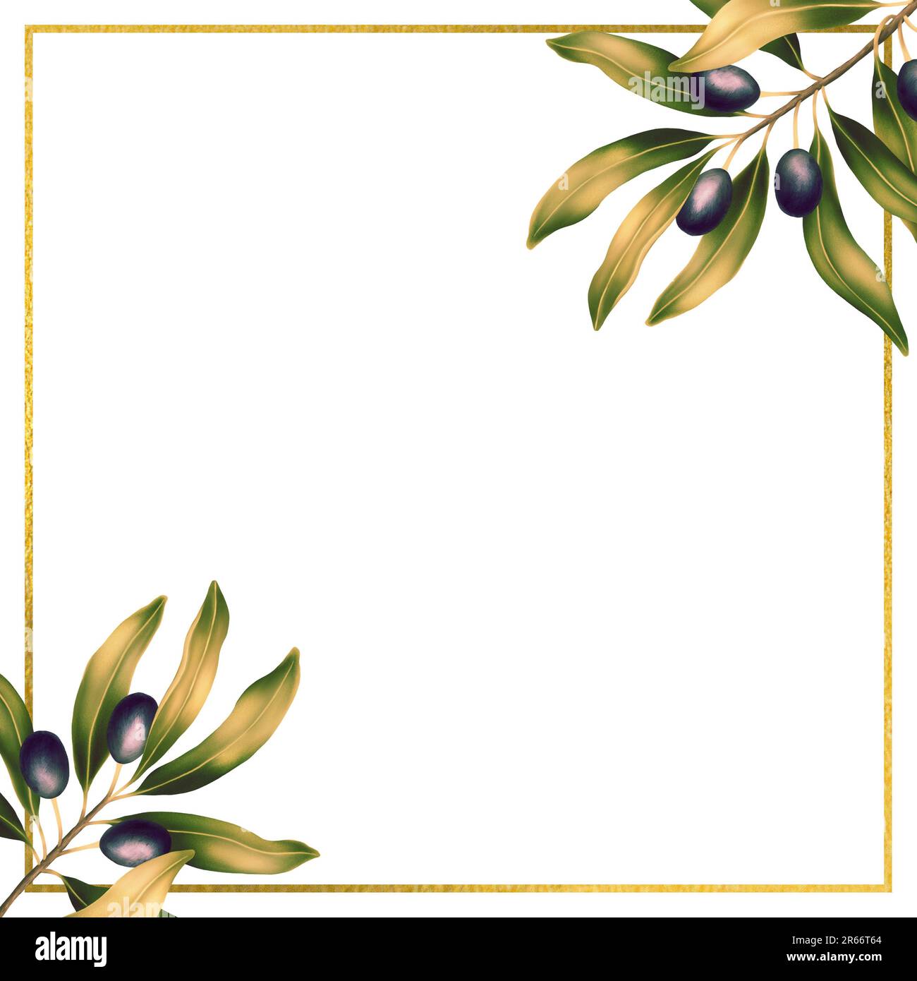 Plantilla cuadrada para texto con ramas de olivo y hojas. Marco o borde