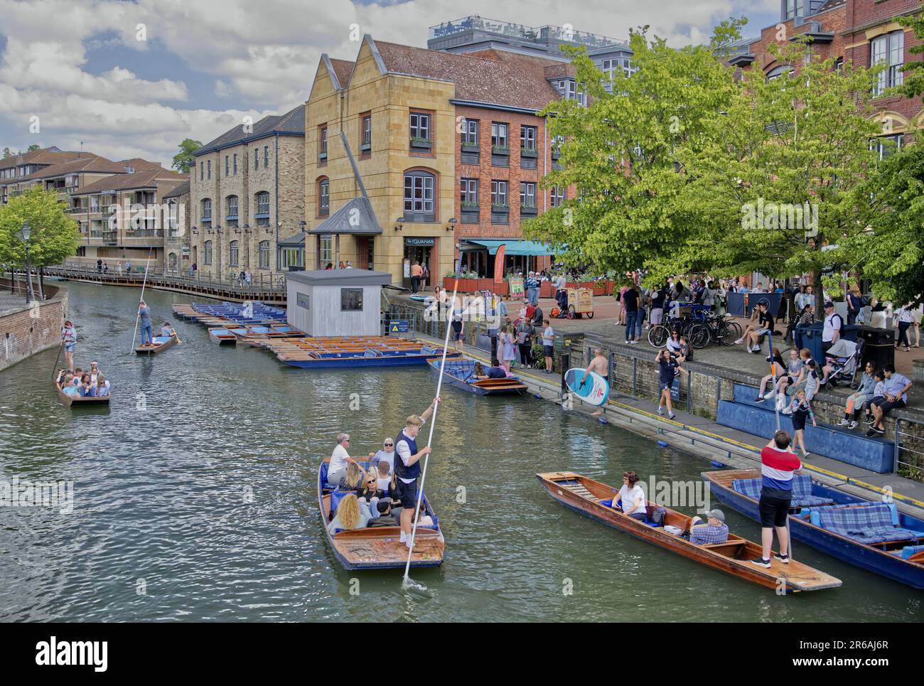 Punting en el río Cam en Cambridge, Inglaterra, Reino Unido Foto de stock