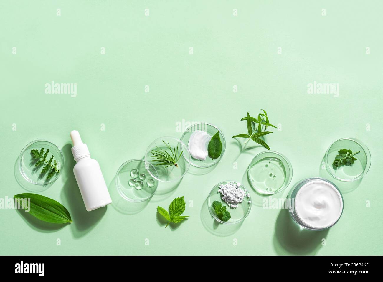 Productos cosméticos orgánicos para el cuidado de la piel, ingredientes vegetales naturales sobre fondo verde, espacio de copia, banner. Investigación bio, cuidado de la piel a base de hierbas y vida ecológica Foto de stock