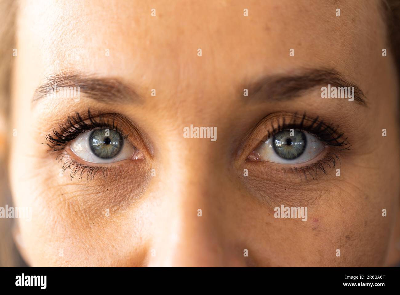Retrato de primer plano de mujer joven caucásica segura con ojos grises mirando a la cámara en club de salud Foto de stock