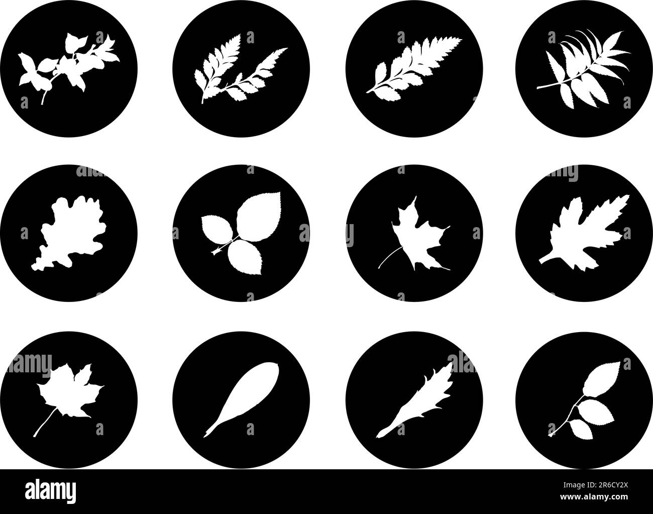 El conjunto de siluetas de hojas, se presenta en forma de 12 botones. Ilustración del Vector