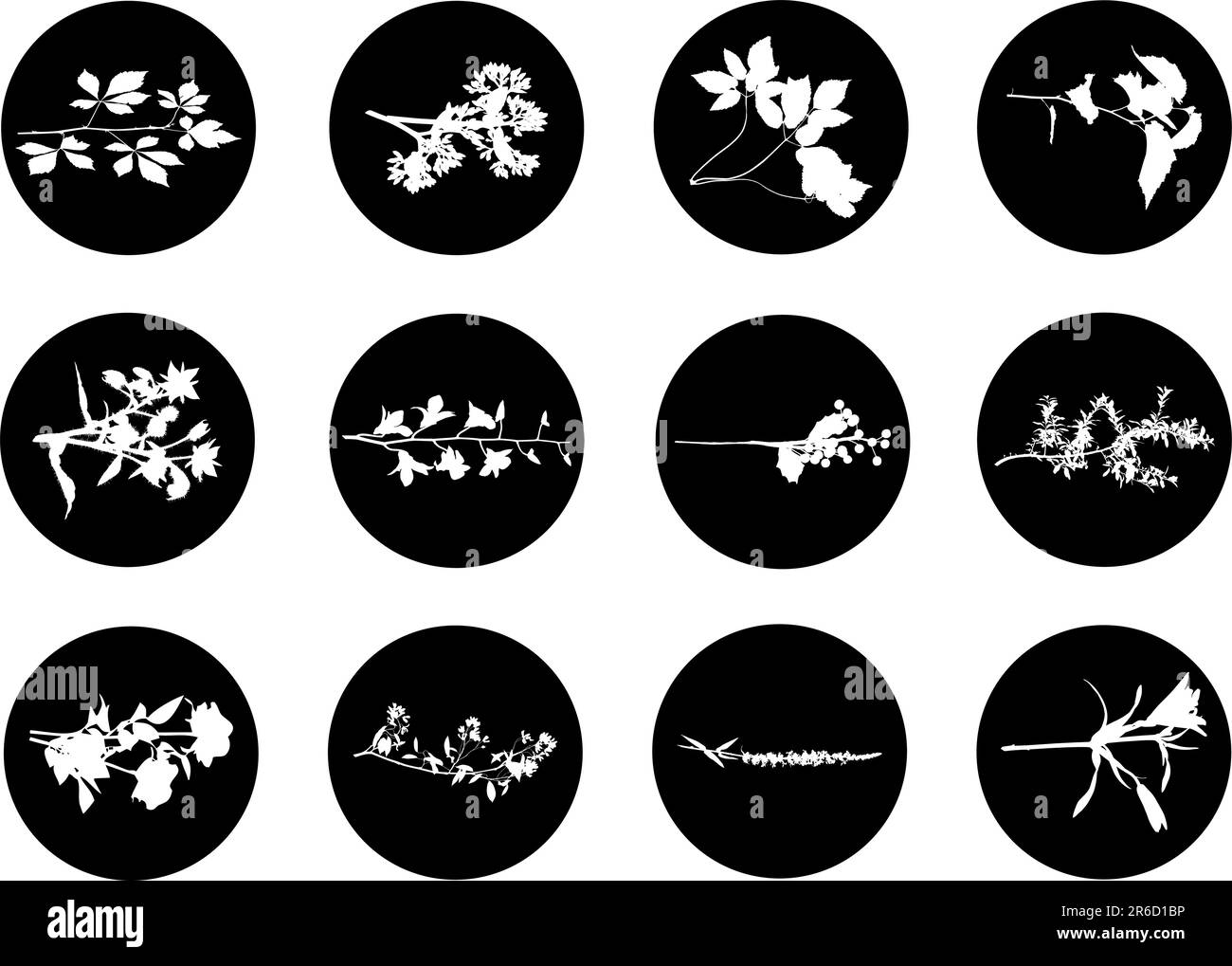 El conjunto de siluetas de hojas, se presenta en forma de 12 botones. Ilustración del Vector