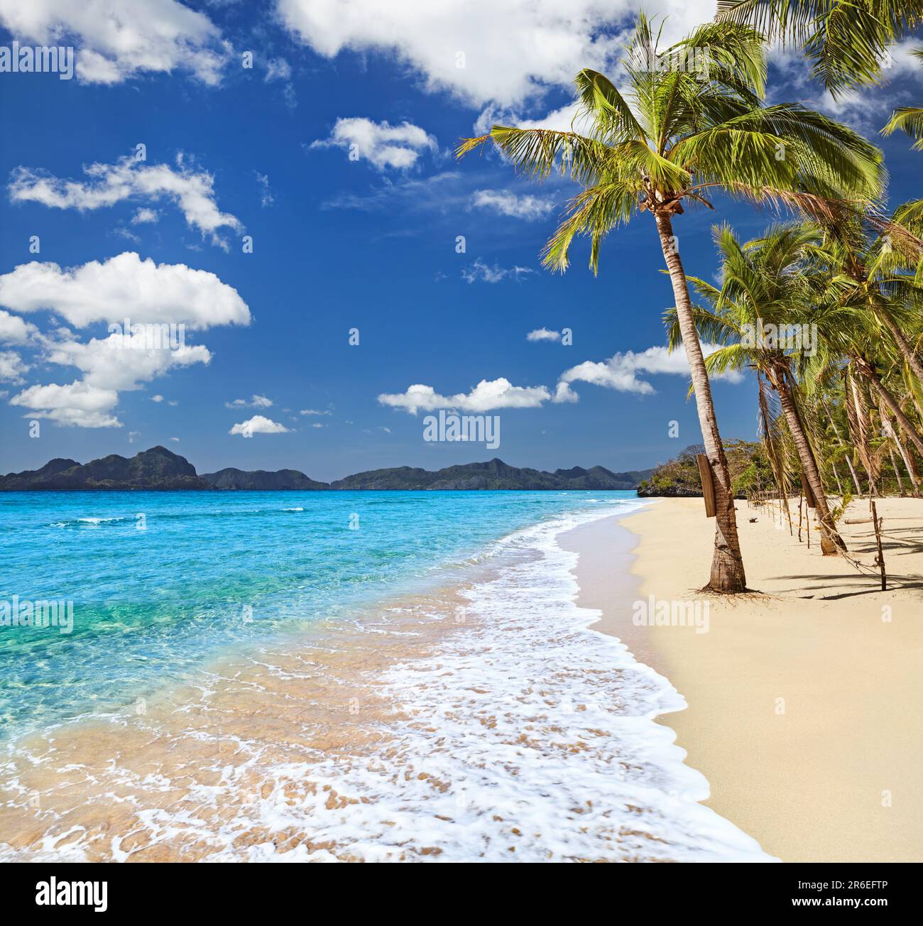 Playa tropical paradisíaca con palmeras y mar claro Foto de stock