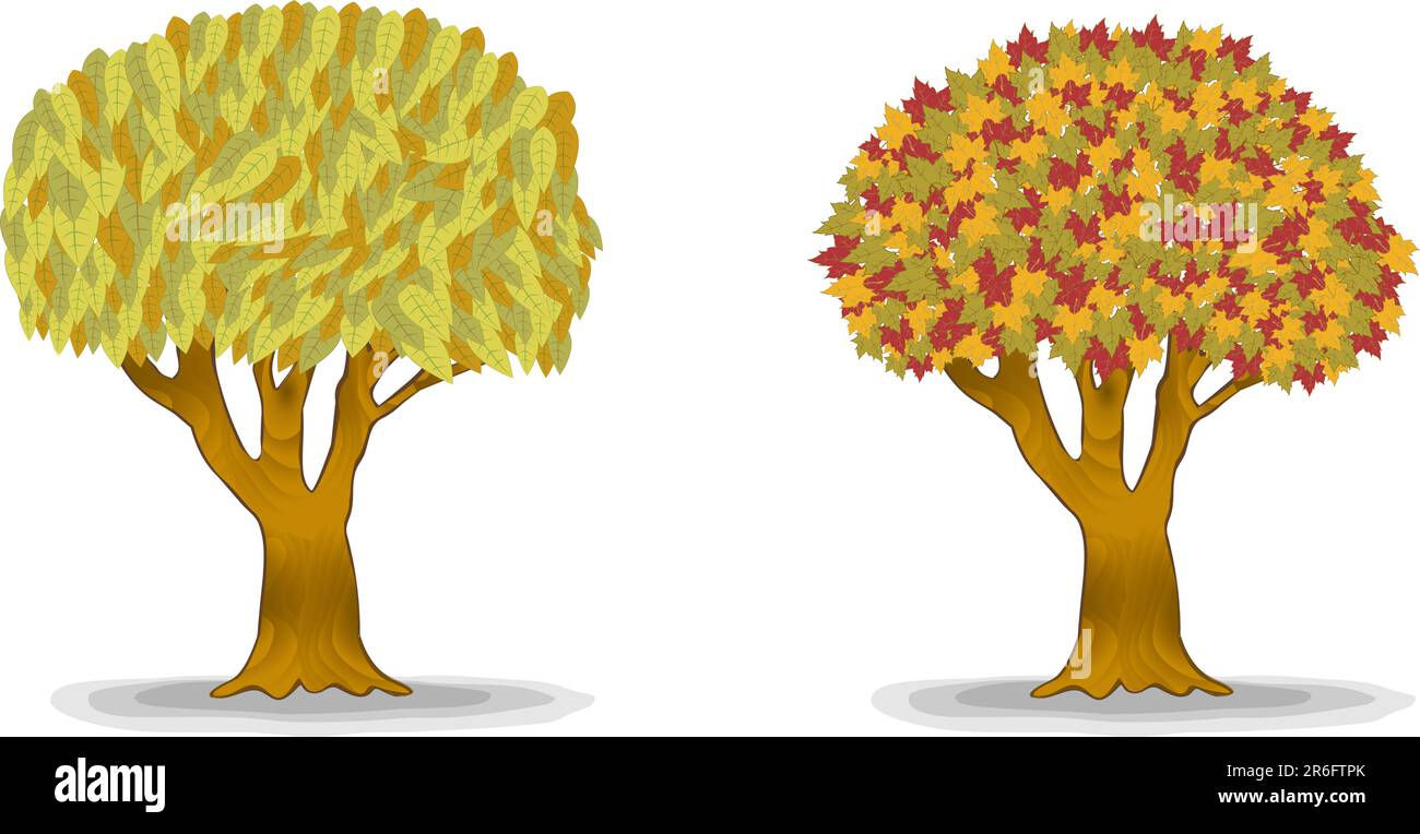 árboles de otoño con detalle hojas ilustración Ilustración del Vector