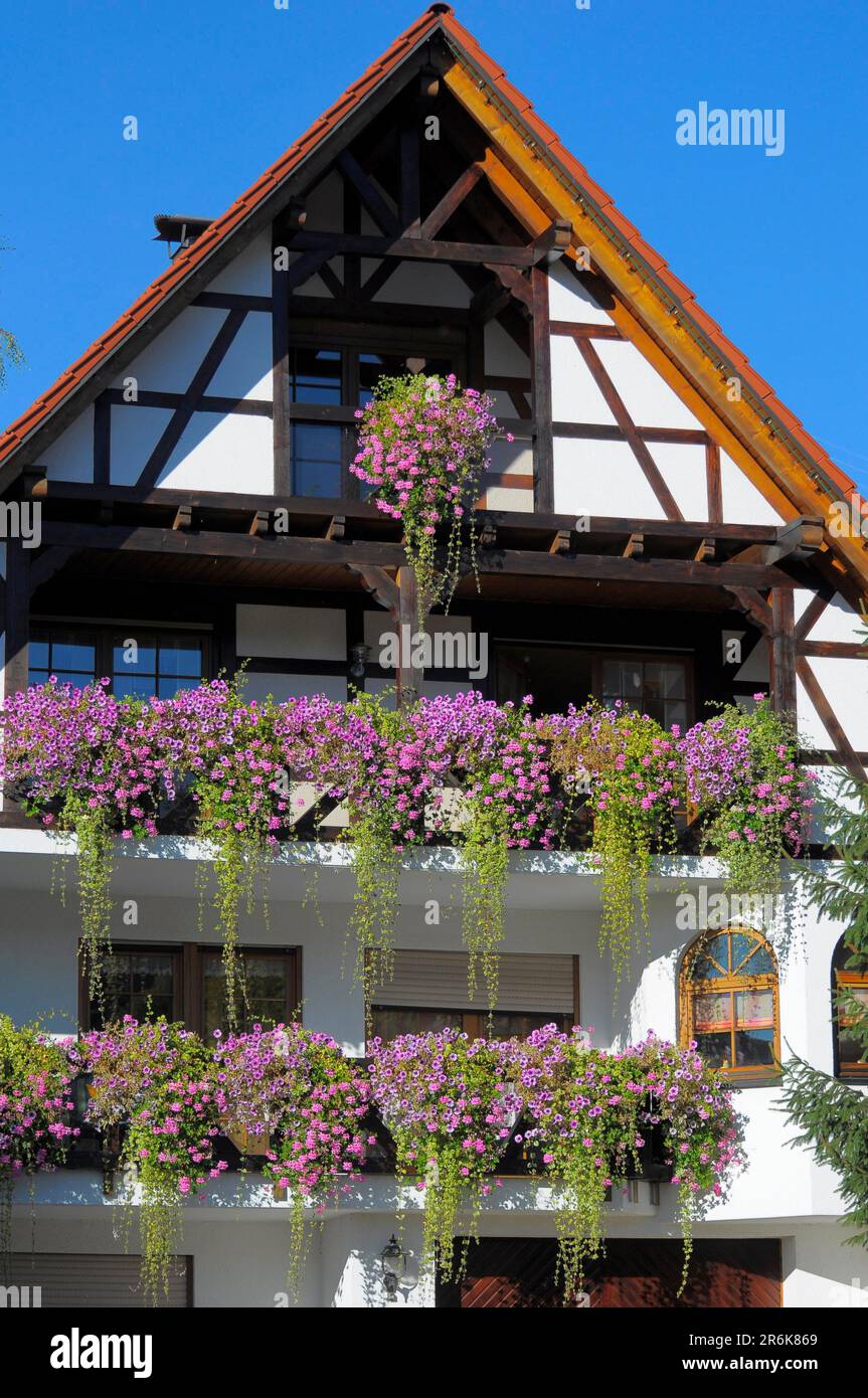 Bosque Negro, cerca de Sasbachwalden, Ortenau, casa de entramado de madera, jardín de campo en otoño, decoración de flores en la casa, flores de balcón Foto de stock