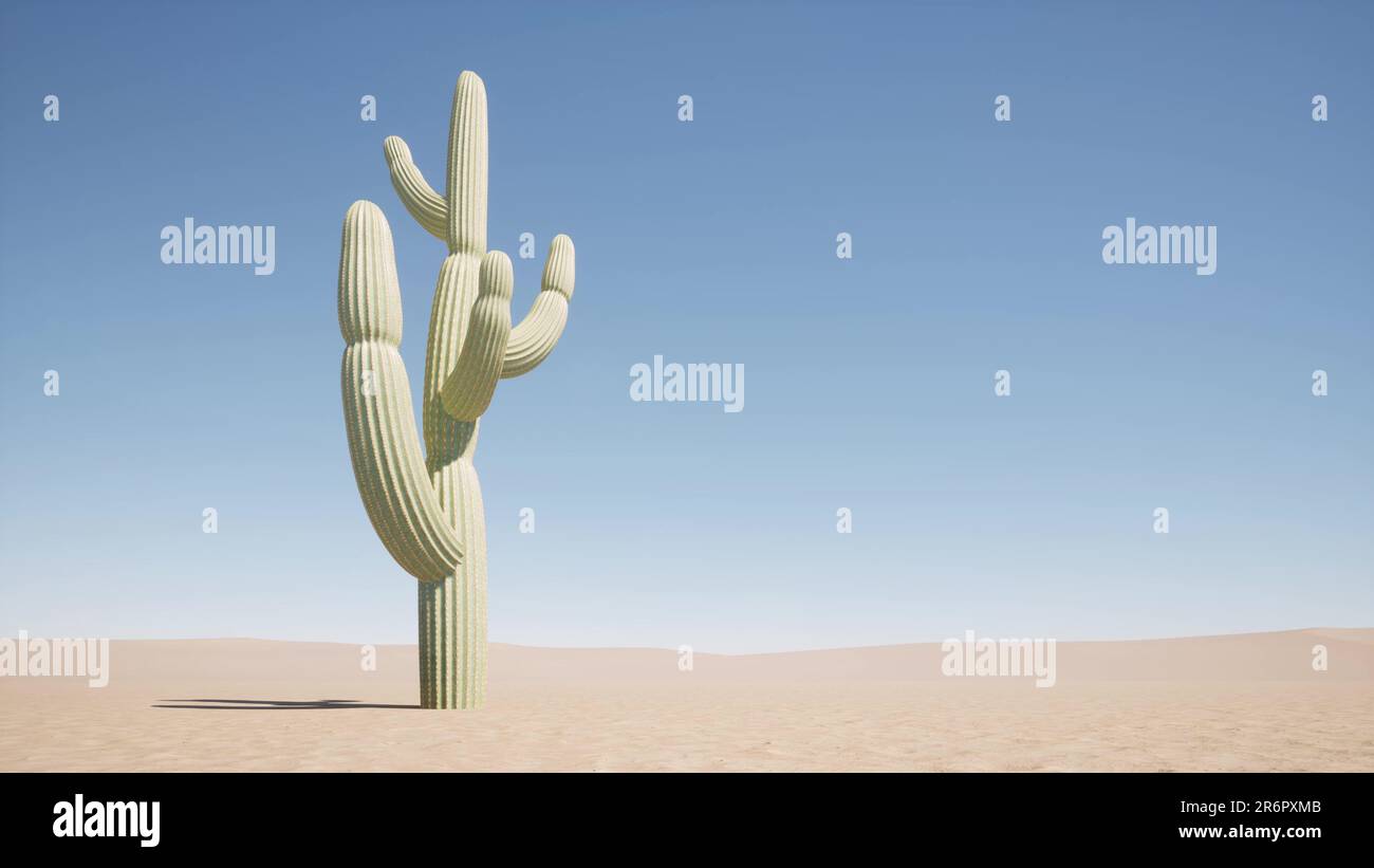 Cactus en el desierto contra el fondo de un cielo azul claro el concepto de soledad y tranquilidad 3D render Foto de stock